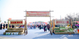 苏韵乡情·与宁乡约丨稻米文化暨特色美食嘉年华在六合马鞍启幕